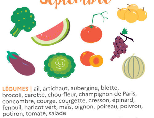 La Palette Gourmande de Septembre : Fruits et Légumes de Saison